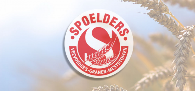 openingsuren tijdens de feestdagen
